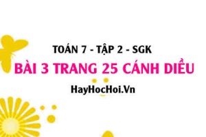 Bài 3 trang 25 Toán 7 Tập 2 Cánh Diều